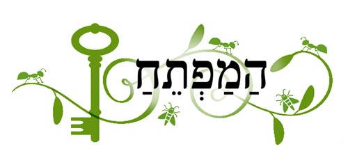 הכותרת