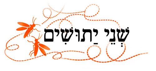 הכותרת
